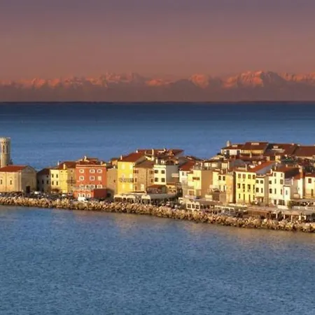 Arpa Appartement *
