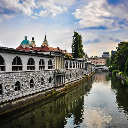 Arpa Ljubljana
